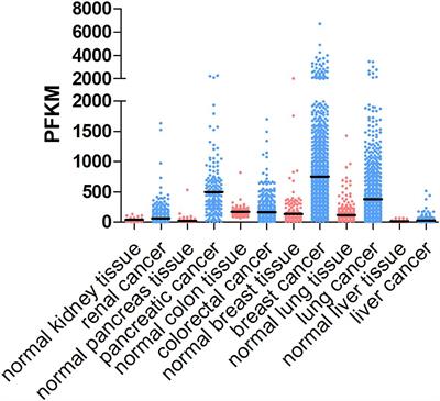 Cancer-Associated Fibroblasts Build and Secure the Tumor Microenvironment